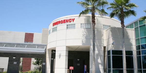 Etiam commodo convallis 4